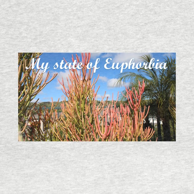 My State of Euphorbia by Battlefoxx Living Earth